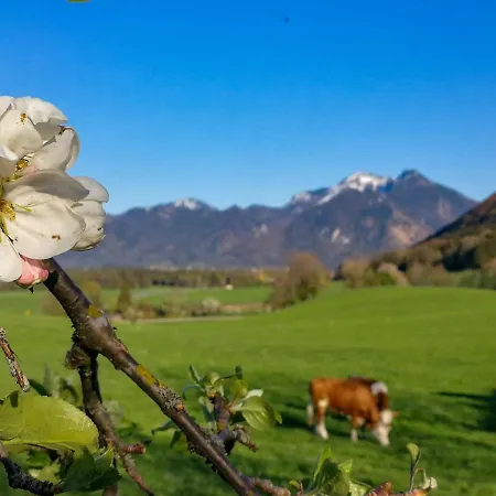 Hoderhof
